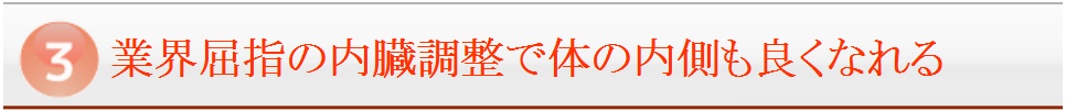 業界屈指の内臓調整で体の内側も良くなれる